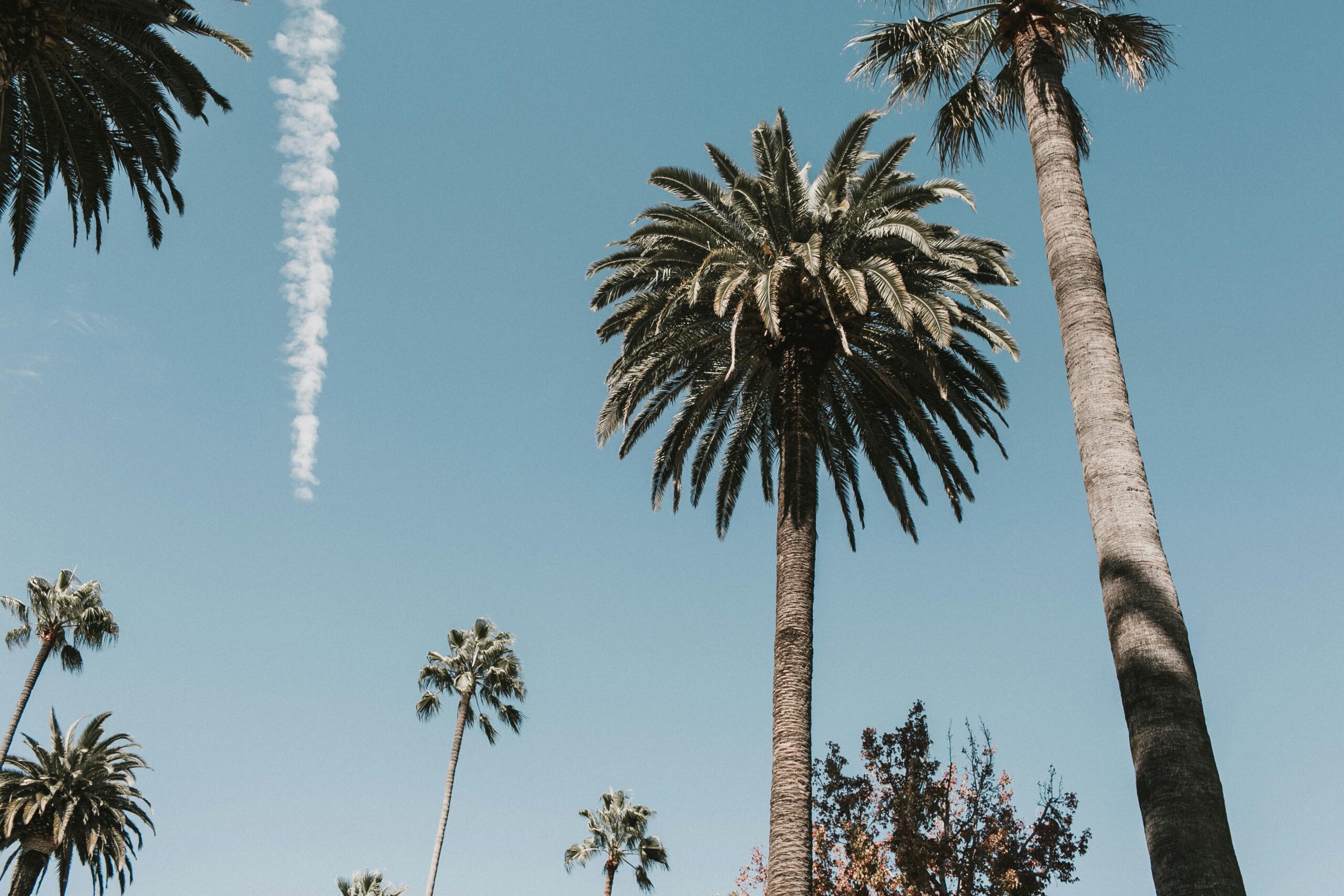 depression therapy clarity family therapy services los angeles therapists